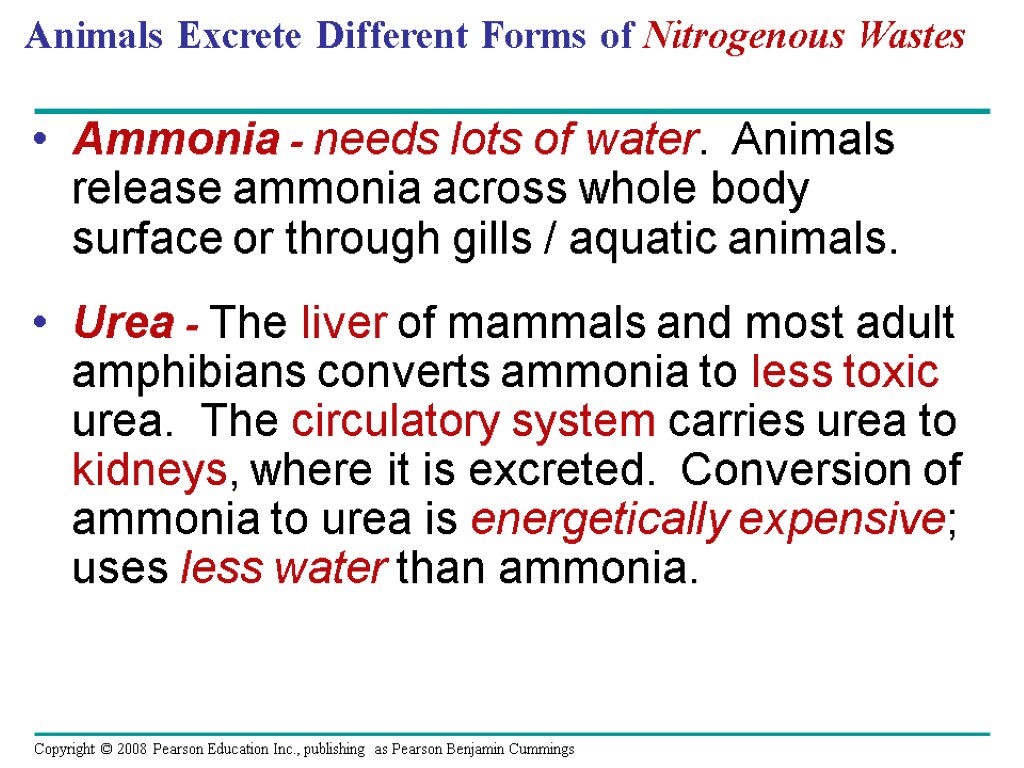 Animals Excrete Different Forms of Nitrogenous Wastes Ammonia - needs lots of water. Animals